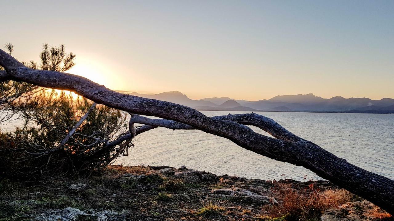 Es Fasser Alcudia  Exterior foto