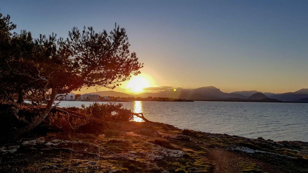Es Fasser Alcudia  Exterior foto